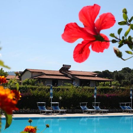 Agriturismo Ninea 里卡迪 外观 照片