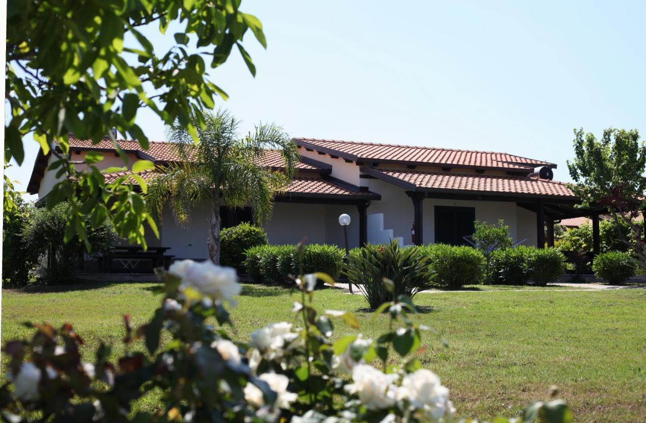 Agriturismo Ninea 里卡迪 外观 照片
