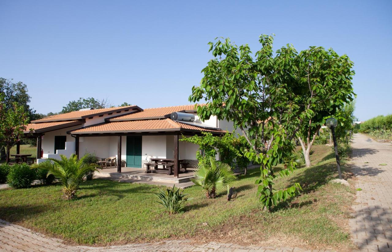 Agriturismo Ninea 里卡迪 外观 照片