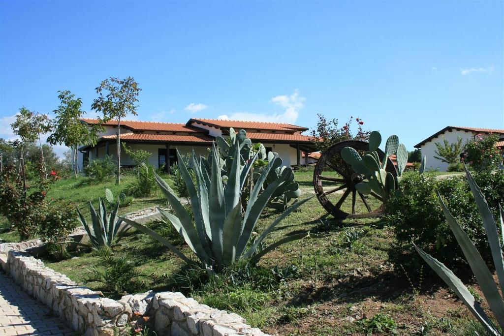 Agriturismo Ninea 里卡迪 外观 照片
