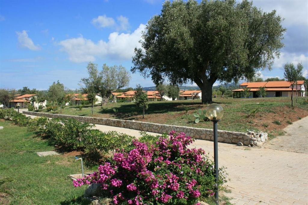 Agriturismo Ninea 里卡迪 外观 照片