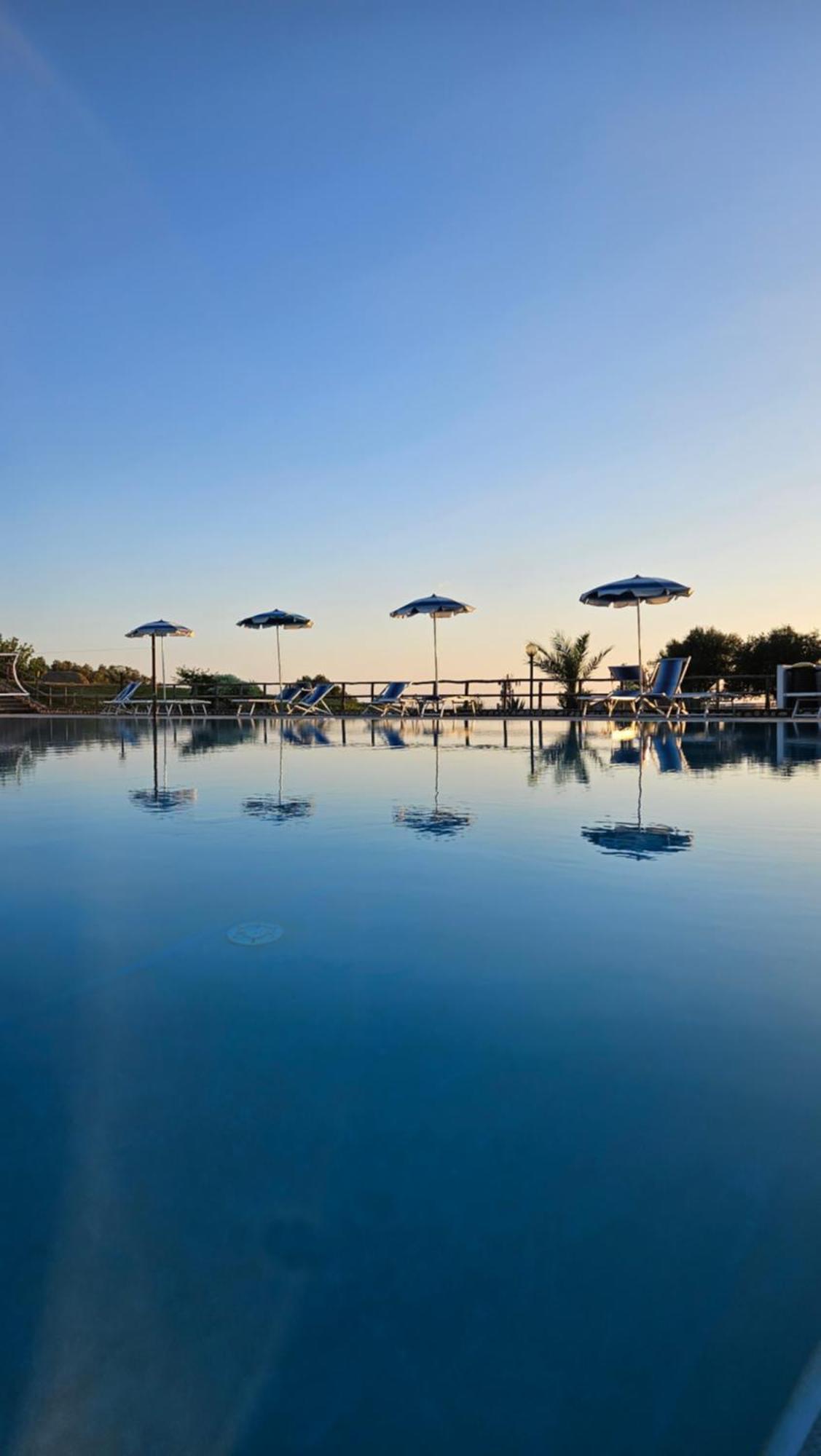 Agriturismo Ninea 里卡迪 外观 照片