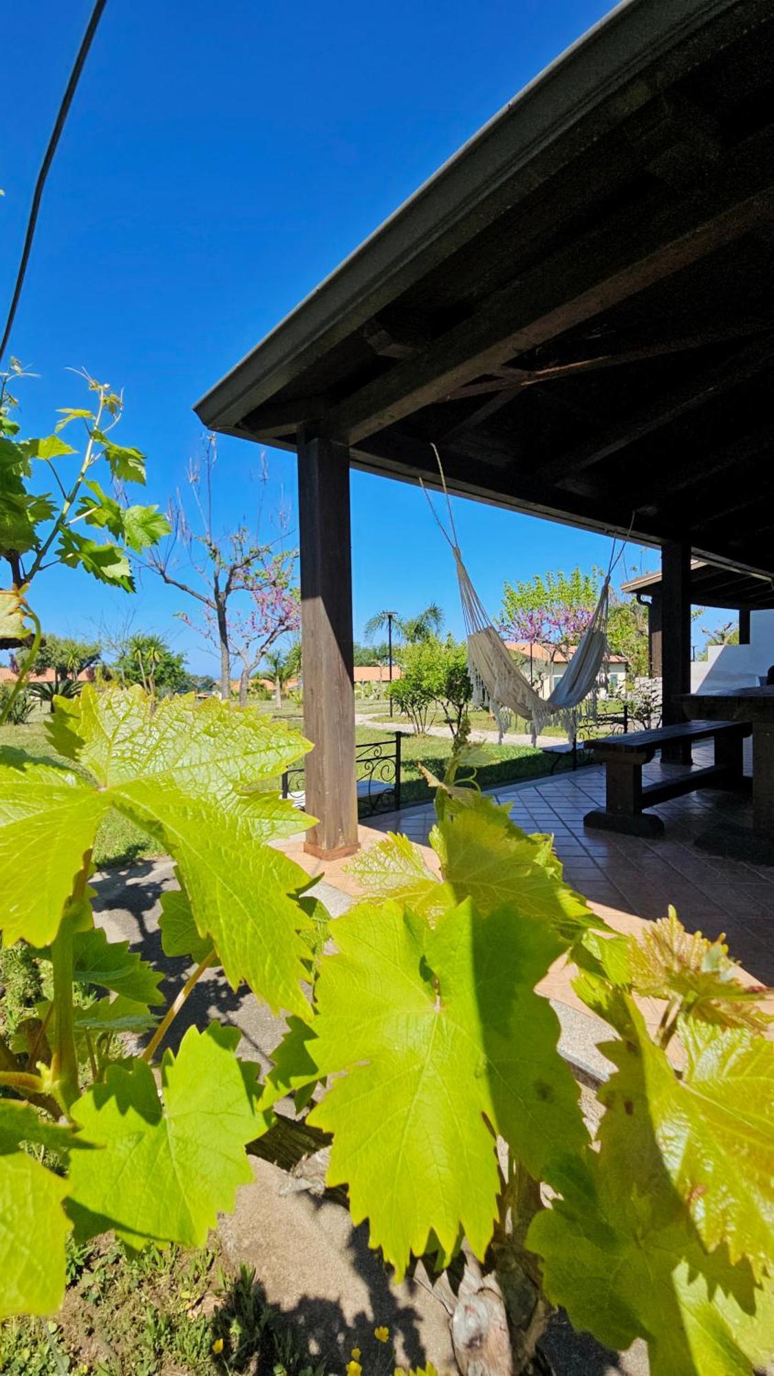 Agriturismo Ninea 里卡迪 外观 照片